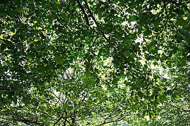 《漫威蜘蛛侠2》体量很大 开发商对今年发售有信心