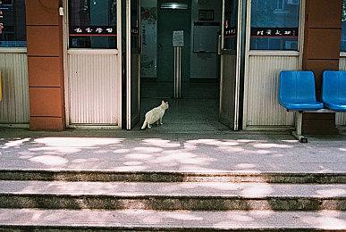 《如龙7外传：无名之龙》正式发售 官方提醒玩家不要剧透